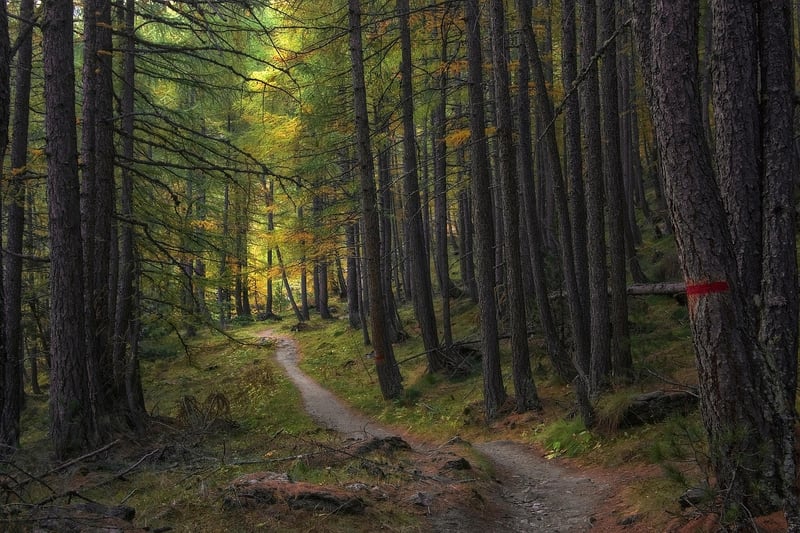 Nature Trails