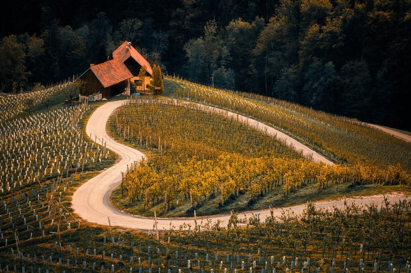Off-the-Beaten-Path